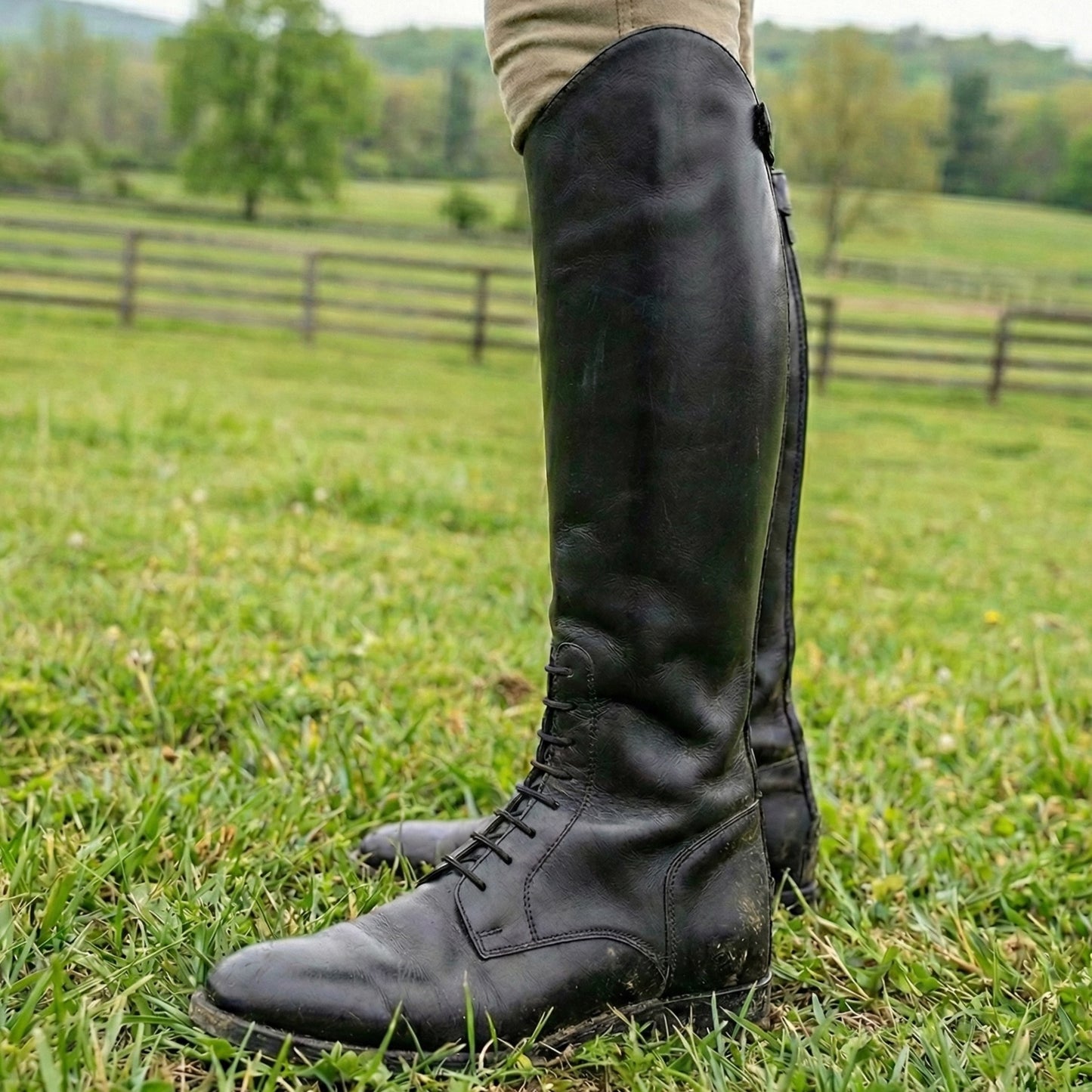 Black Riding Boot with Back Zip and Front Laces (610)